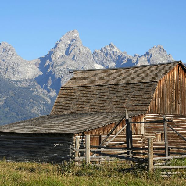 Homestead Properties